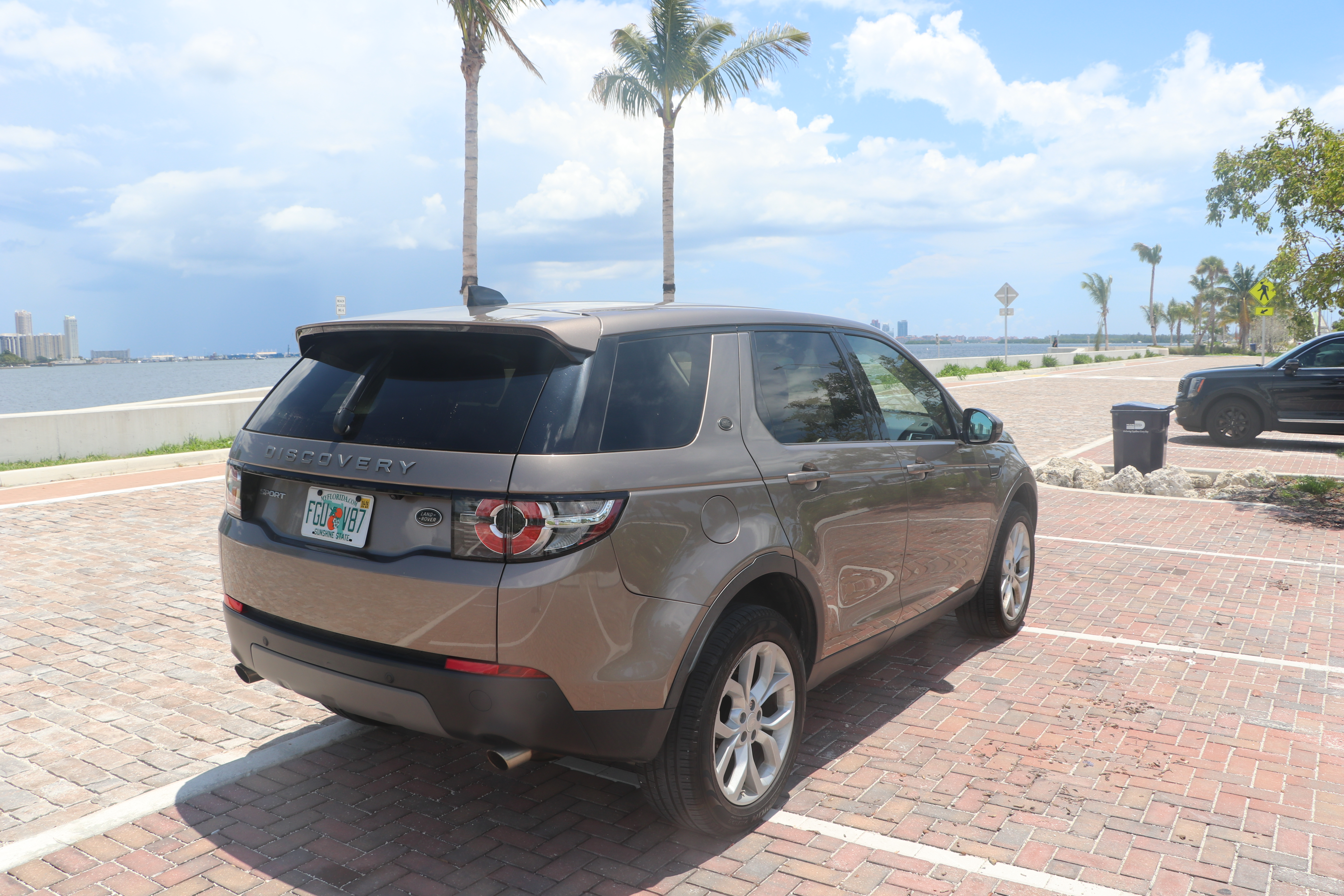 Rear view